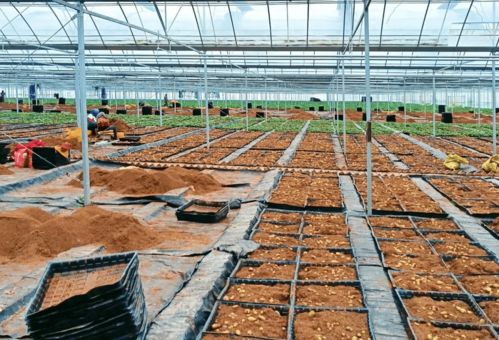 速讀市委十五屆二次全會暨全市經(jīng)濟工作會議報告